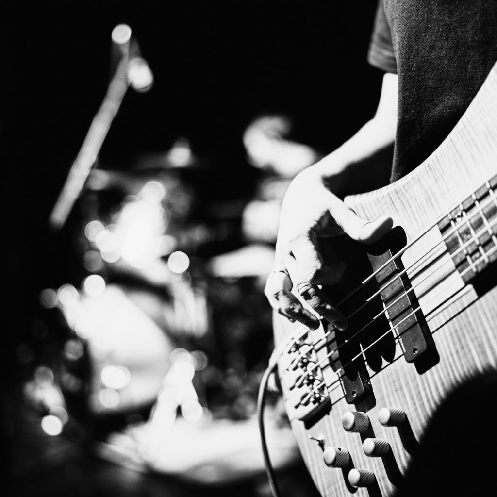 musicos profesionales